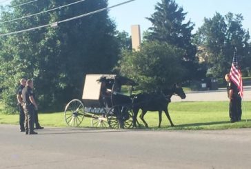 A Cop Jumps Onto a Runaway Amish Horse and Buggy and Stops It